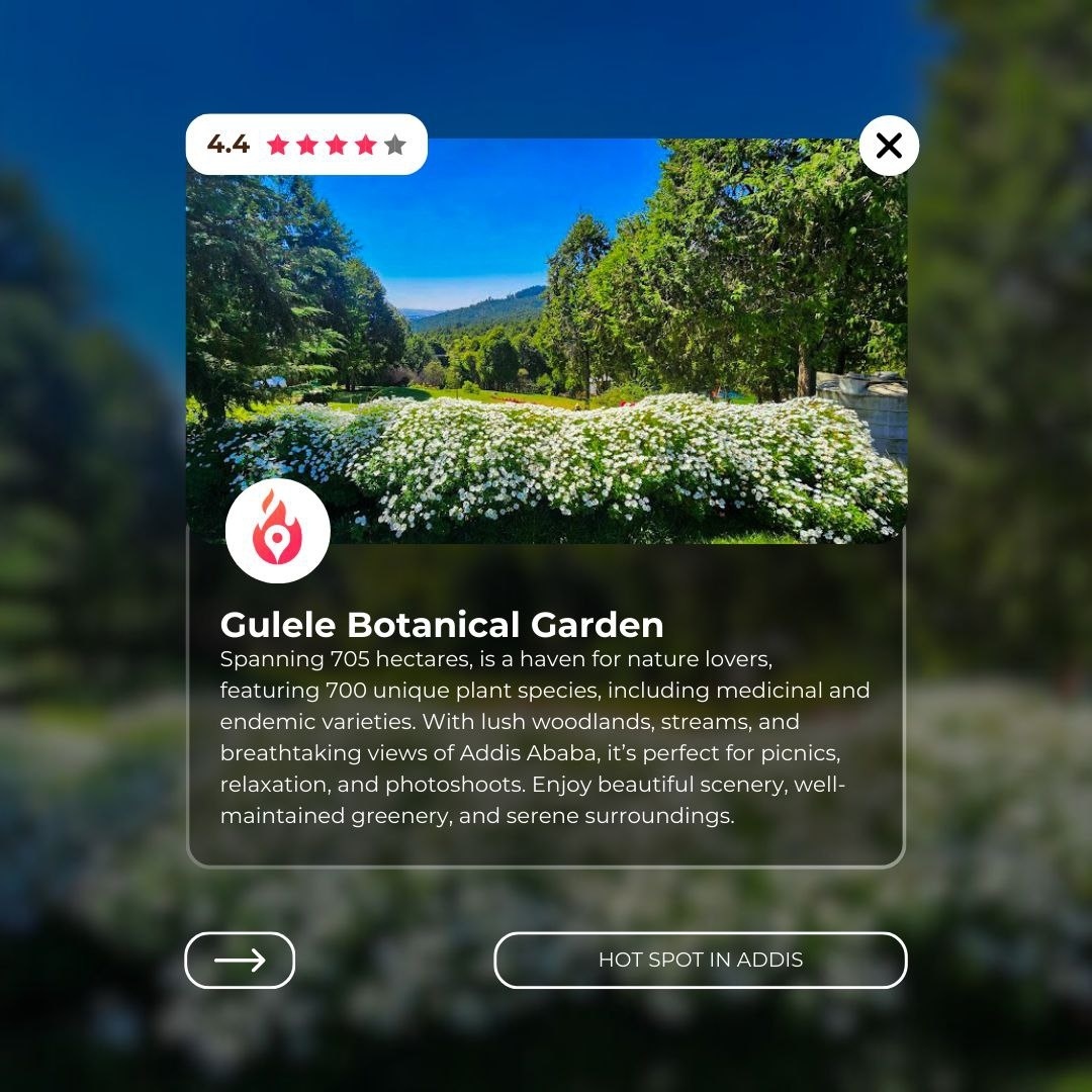 Place for photoshoot - Gullele Botanic Garden  view 2
