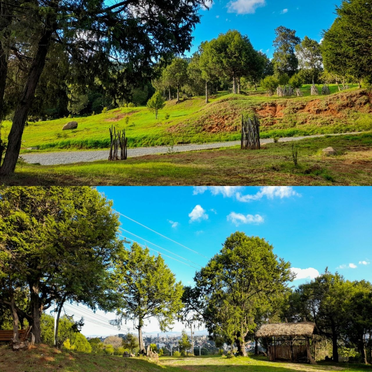 Place for photoshoot - Gullele Botanic Garden  view 5